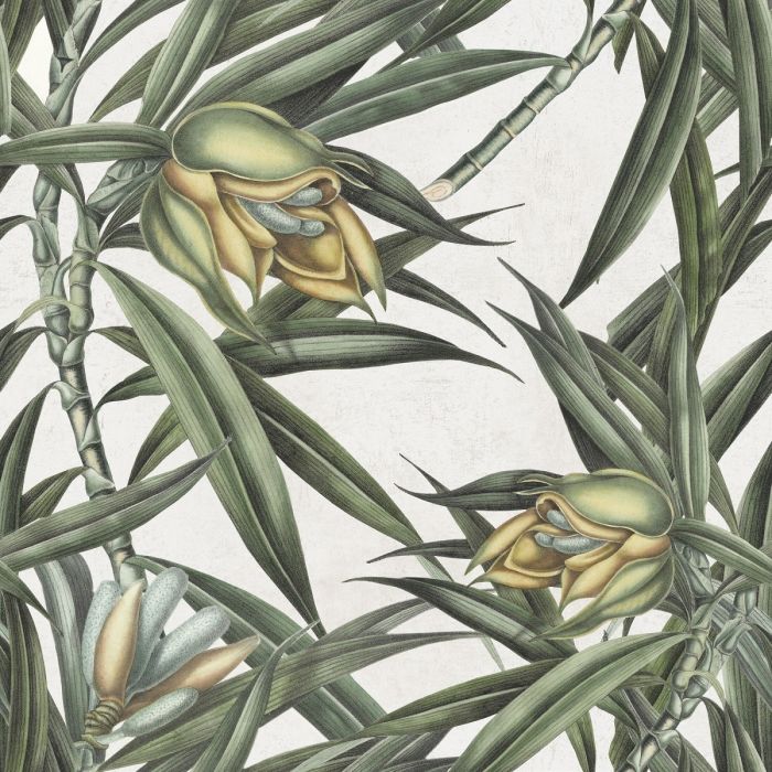 Mind The Gap Exotic Fruit 2 - HD Wallpaper 