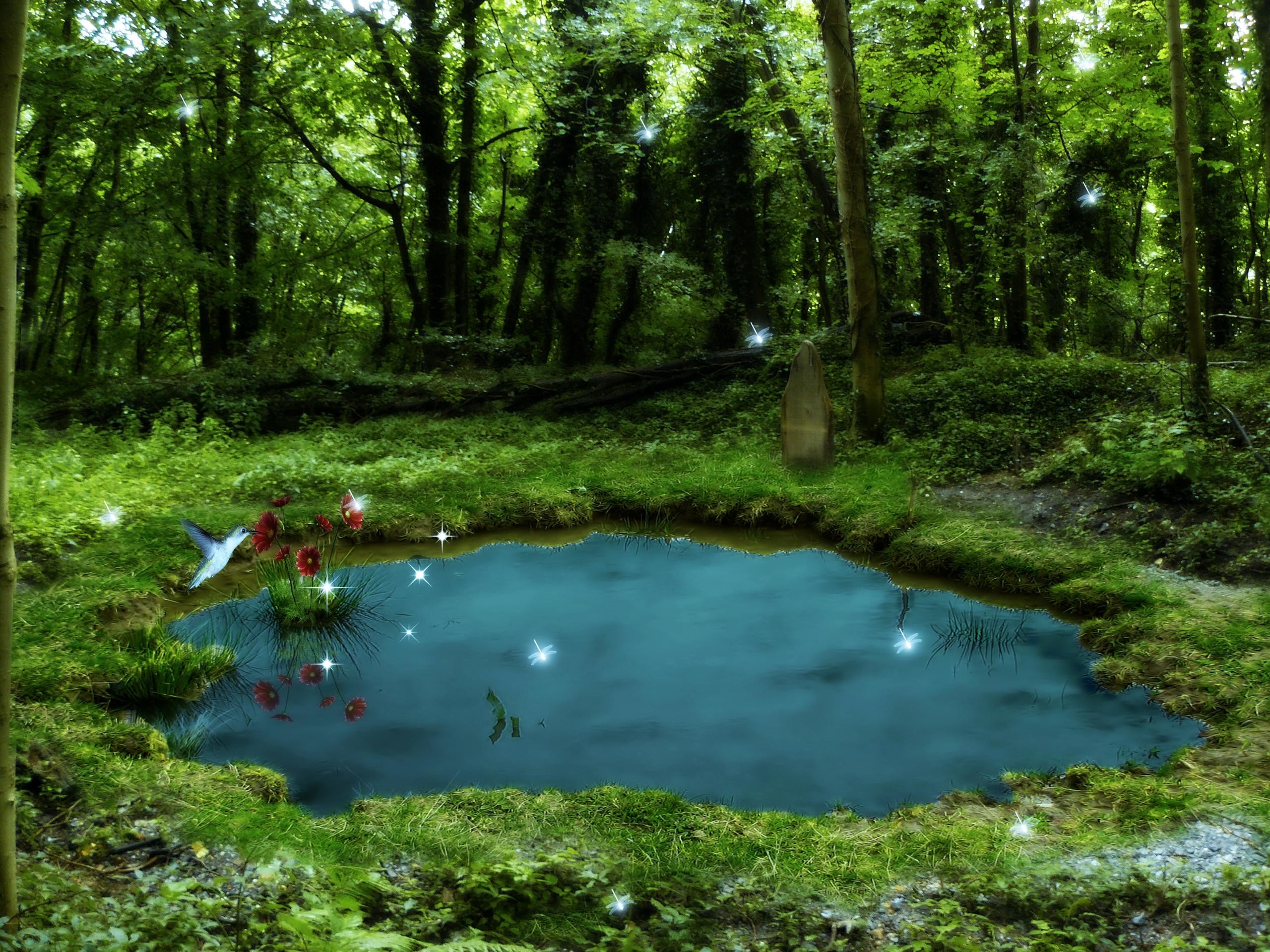 Free Pond Wallpaper Data Src Most Popular Pond Wallpaper - Pond Backgrounds - 2560x1920 Wallpaper Free Pond Wallpaper Data Src Most Popular Pond Wallpaper - Pond Backgrounds - 2560x1920 Wallpaper