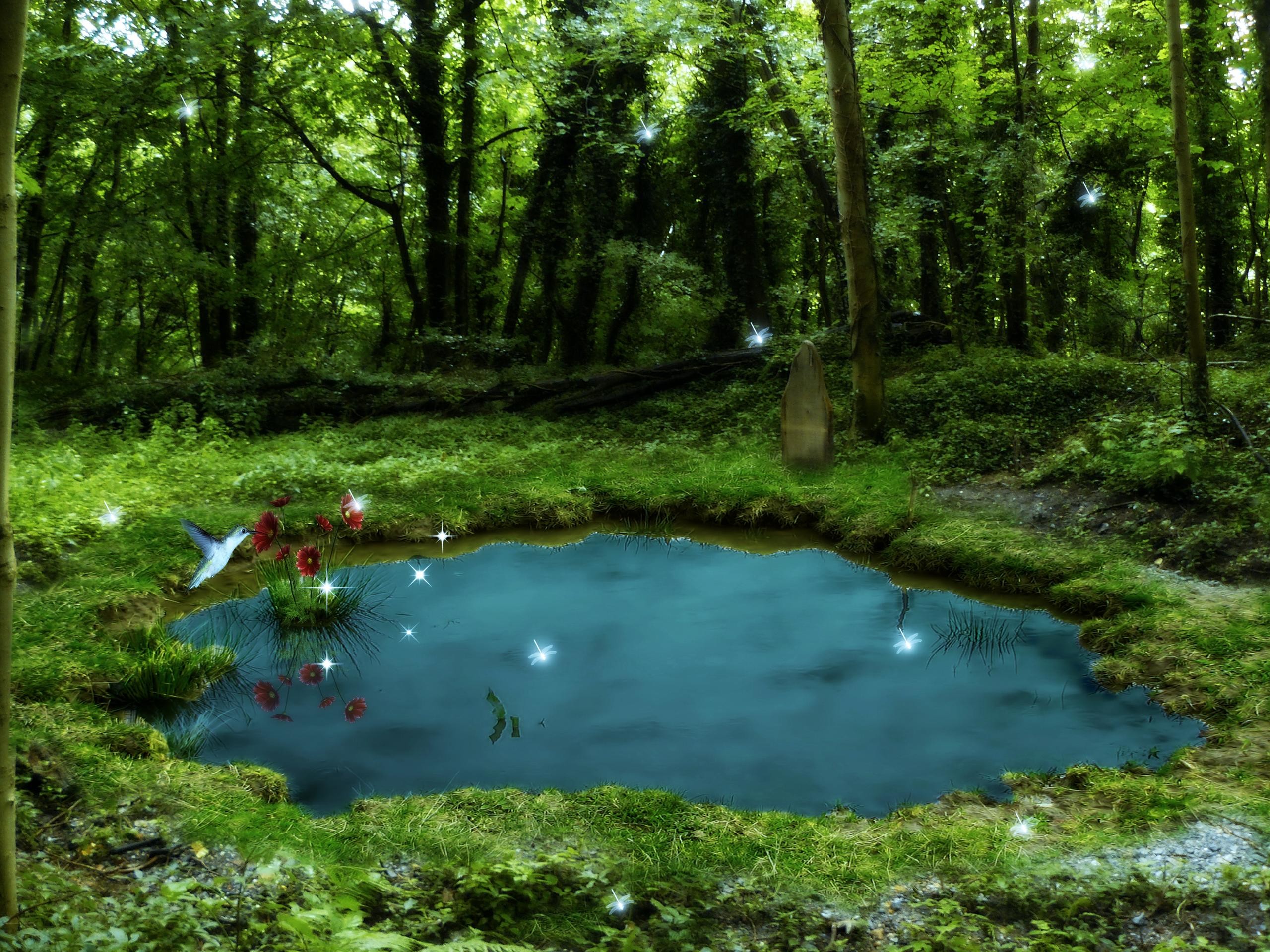 Free Pond Wallpaper 
 Data Src Most Popular Pond Wallpaper - Pond Backgrounds - HD Wallpaper 