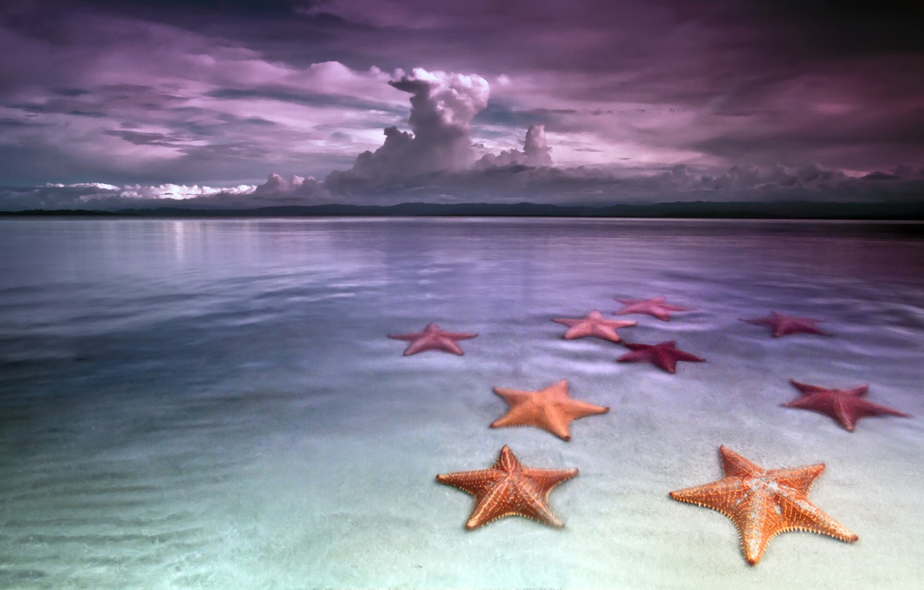 Photo Wallpaper Sea, Beach, The Sky, Clouds, Shore, - El Cielo Estrellas De Mar - HD Wallpaper 