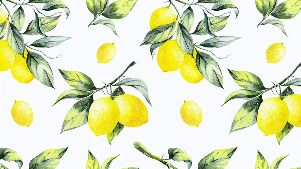 David Et Pauline Dg - Dolce And Gabbana Prints - HD Wallpaper 