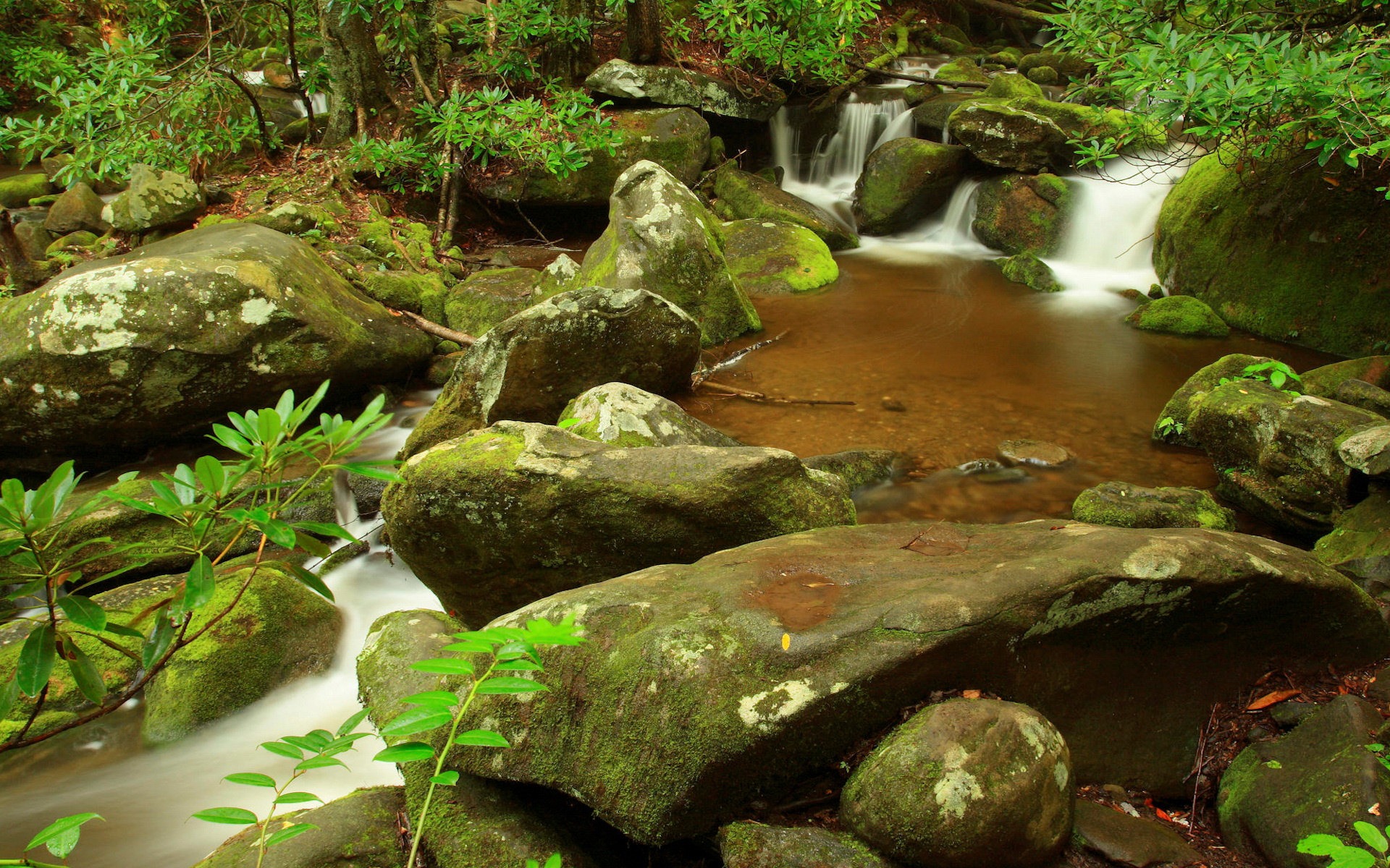 Featured image of post View 17 Nature Editing Background Download