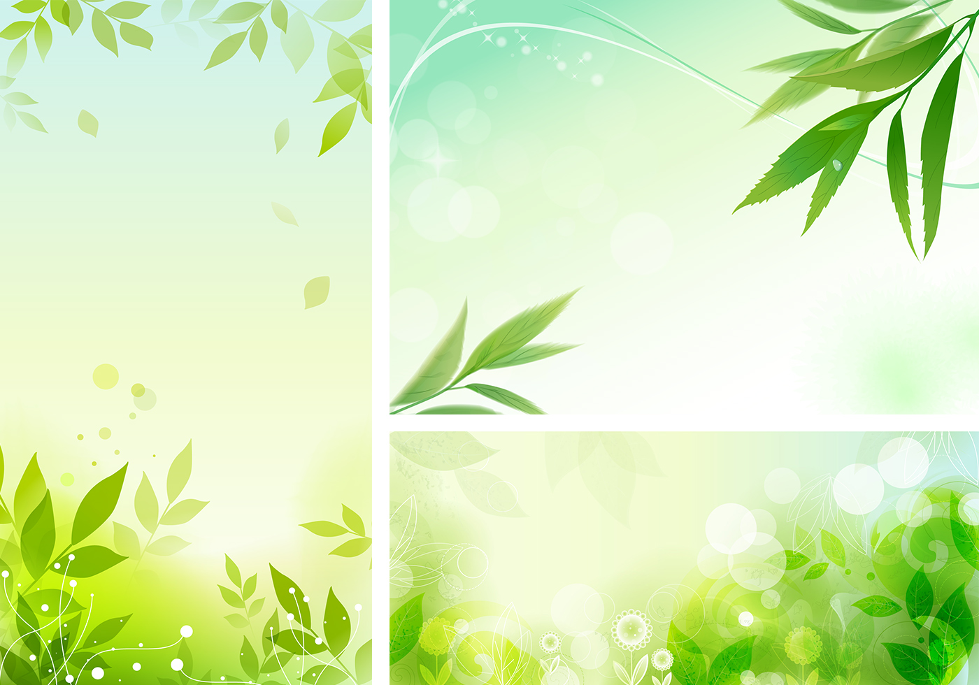 Leafy Organic Photoshop Wallpaper Pack - Leaves Vector - HD Wallpaper 