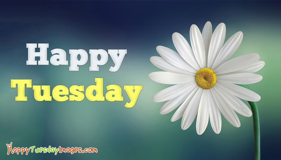 Happy tuesday картинки