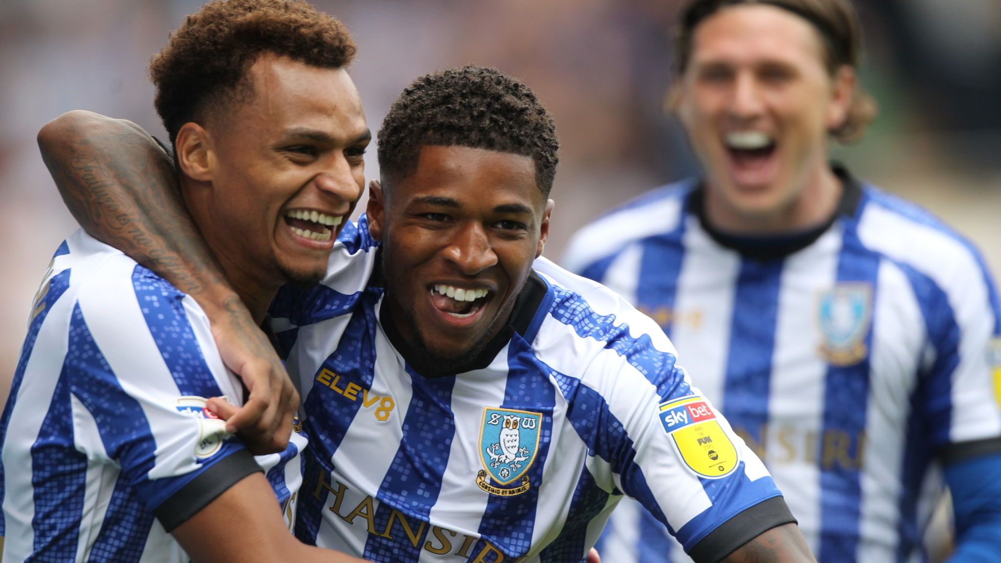 Sheffield Wednesday S Jacob Murphy Celebrates His Goal - Sheffield Wednesday V Barnsley - HD Wallpaper 