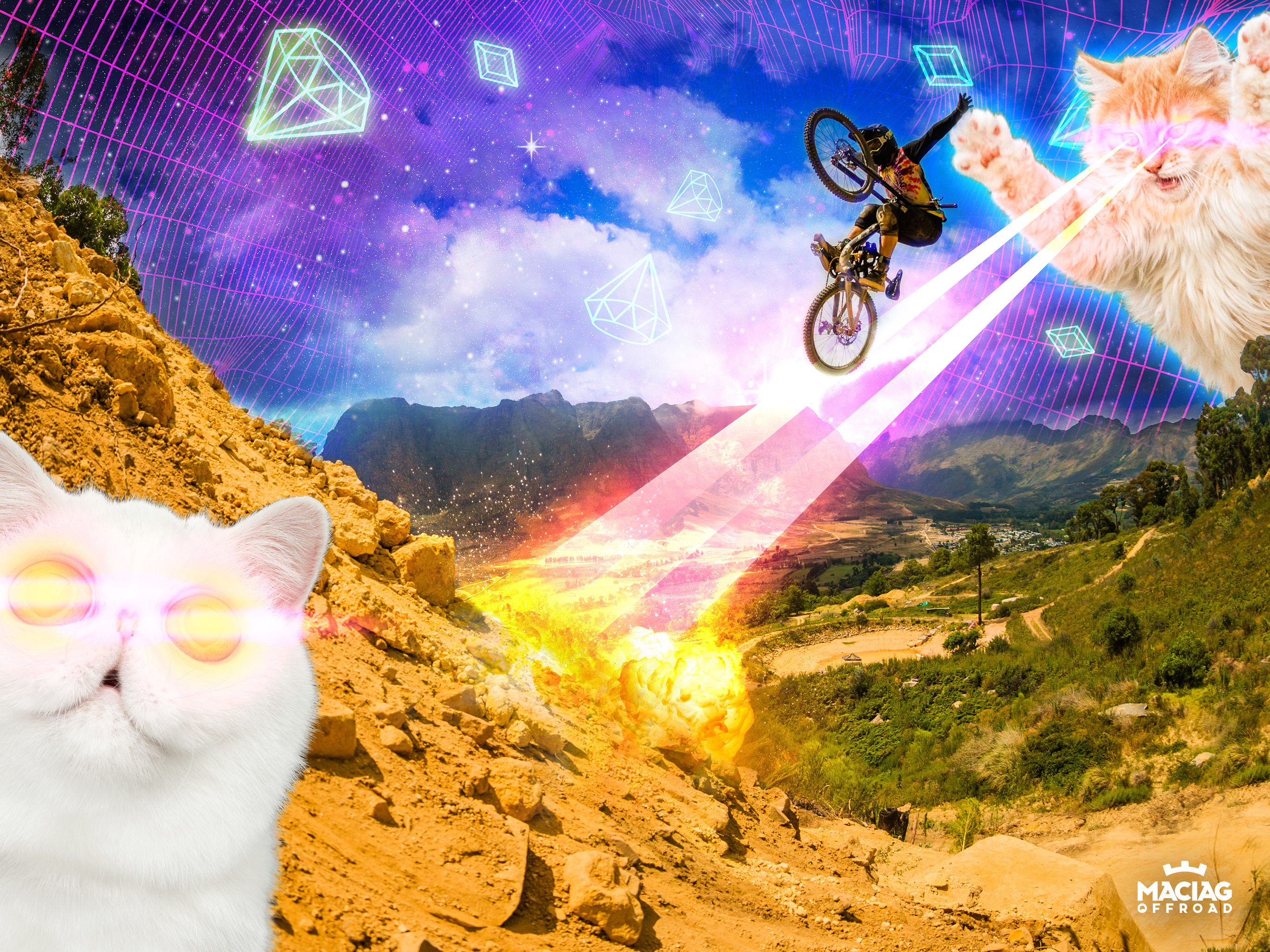 Loose Riders Cat S - HD Wallpaper 