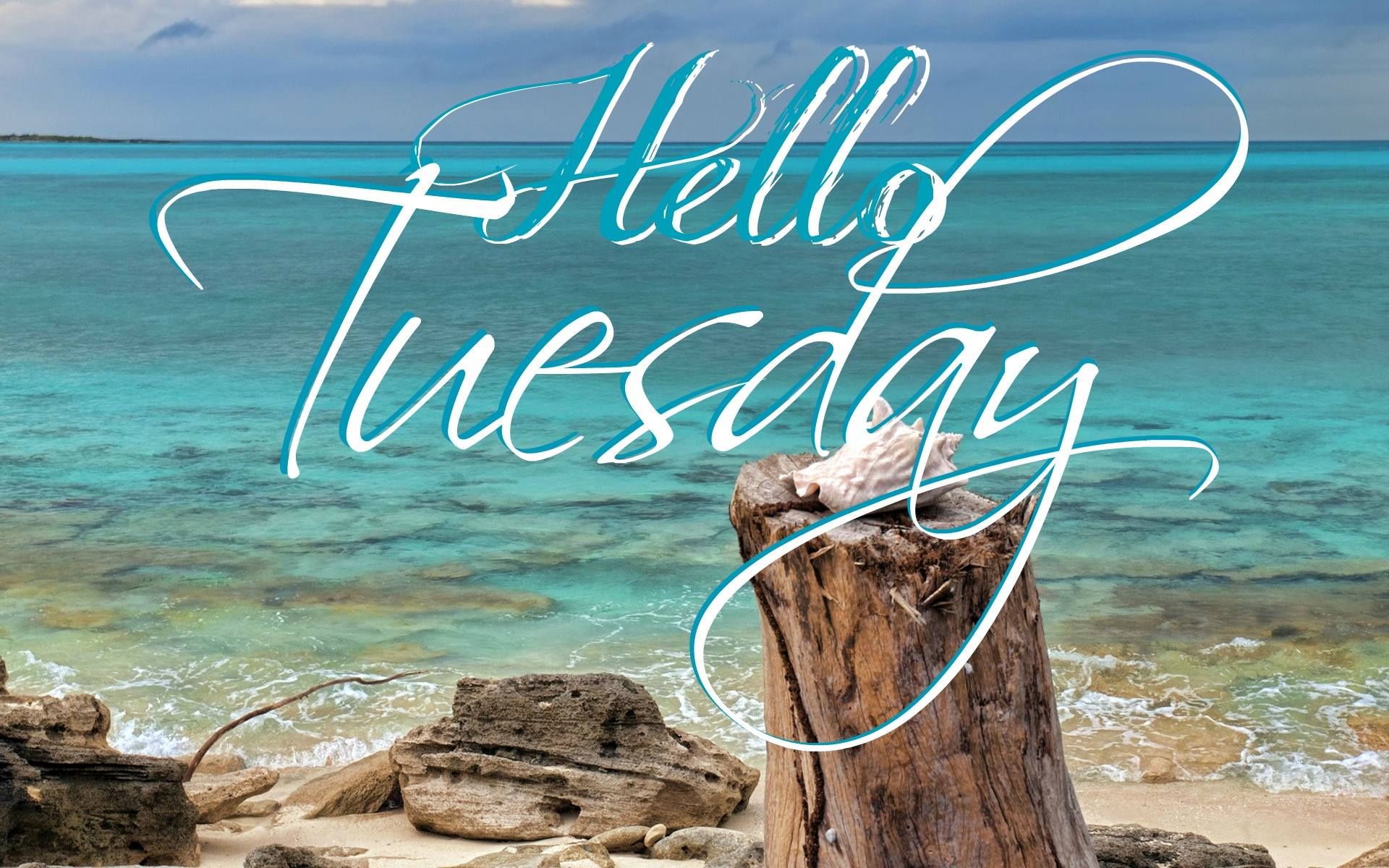 Hello Tuesday - HD Wallpaper 