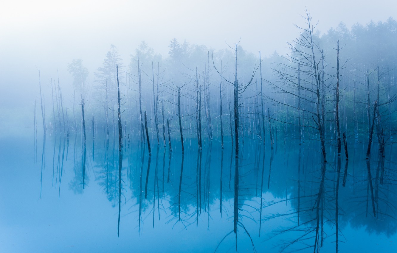 Photo Wallpaper Water, Reflection, Trees, Fog, Pond, - Голубой Пруд В Хоккайдо Япония - HD Wallpaper 