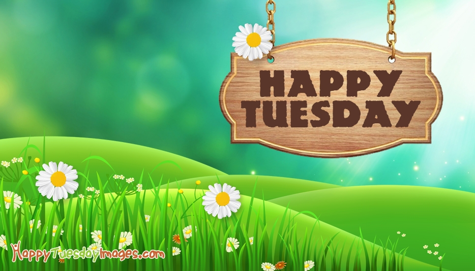 Happy Tuesday Wallpaper Images - Happy Tuesday Free - HD Wallpaper 