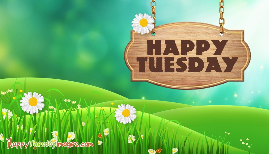 Happy Tuesday Wallpaper Images - Happy Tuesday Free - 934x534 Wallpaper