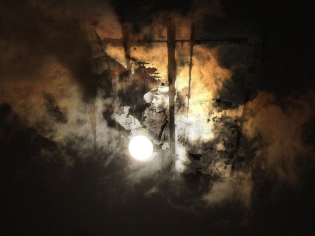 Wallpaper - HD Wallpaper 