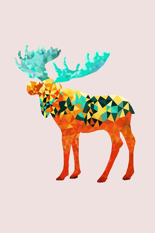 Cute Moose - HD Wallpaper 