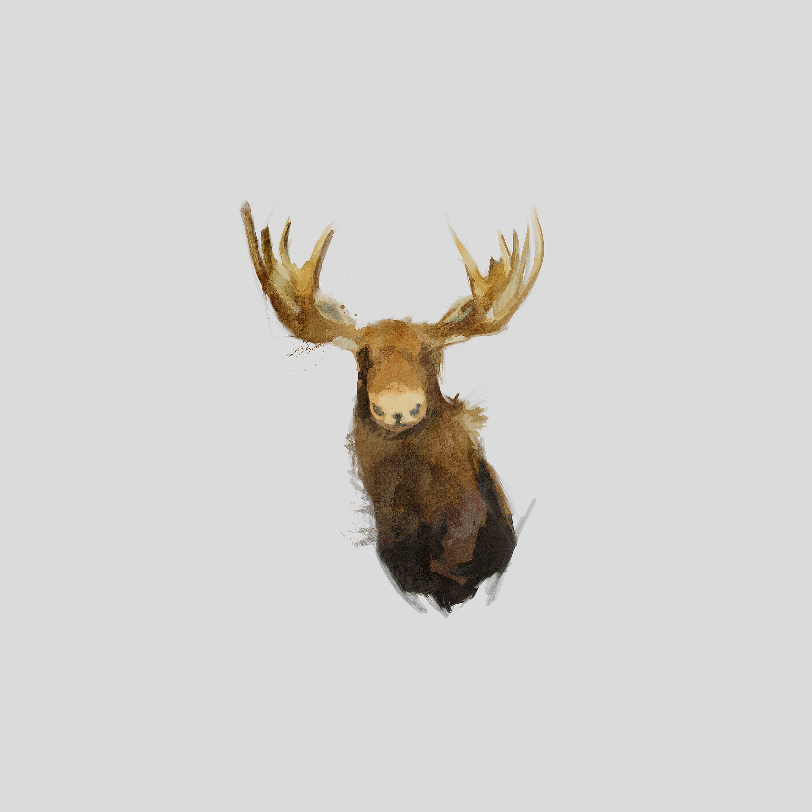 Moose Art - HD Wallpaper 