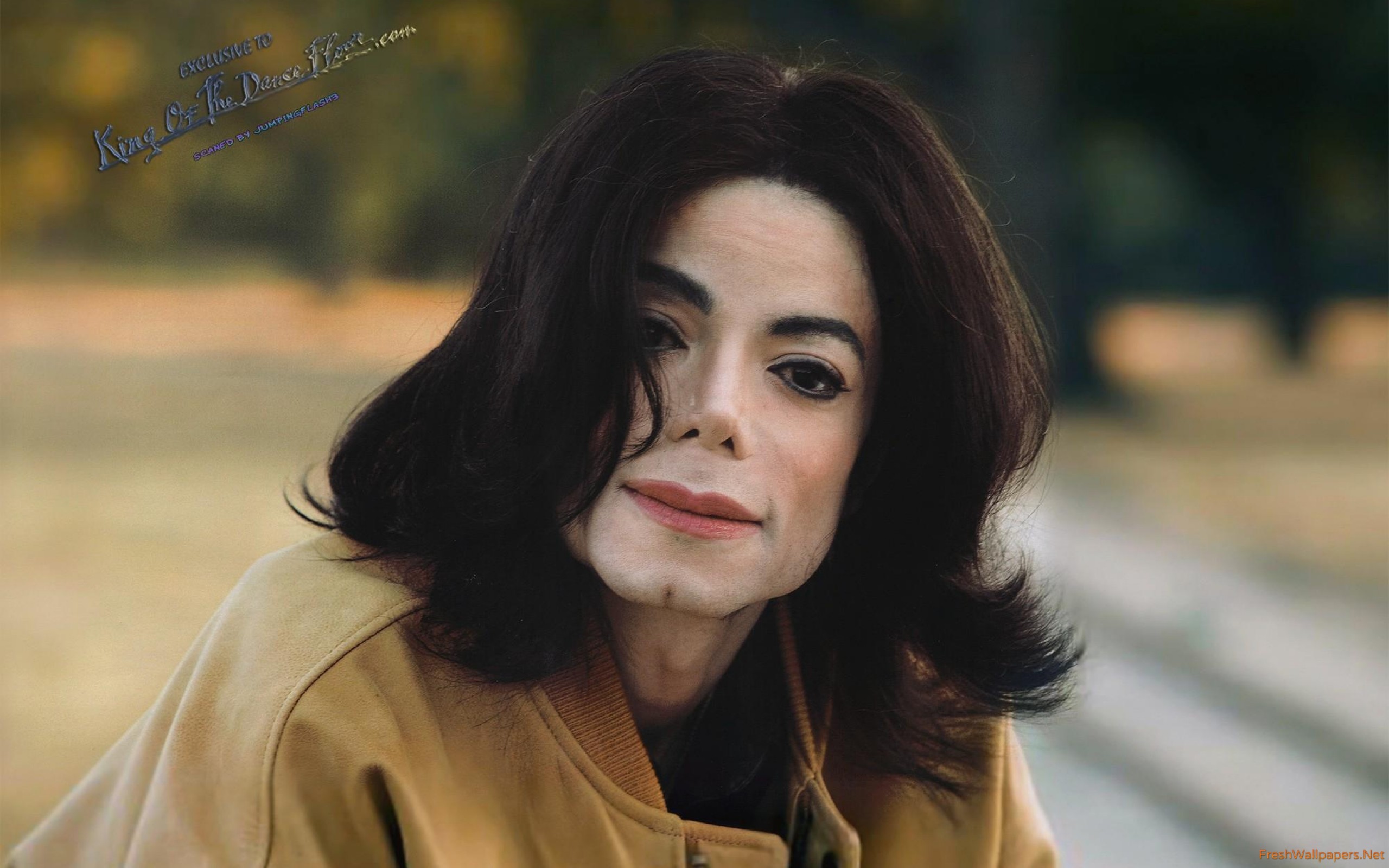 Michael Jackson 2005 Neverland - HD Wallpaper 