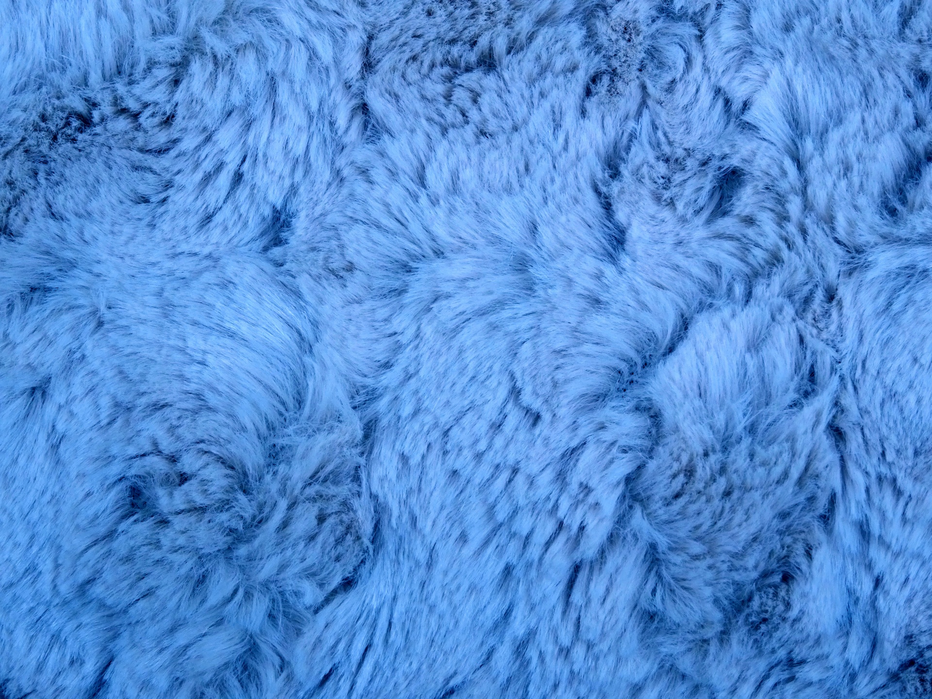 Blue Background Web Free Photo - Blue Fur Background - HD Wallpaper 