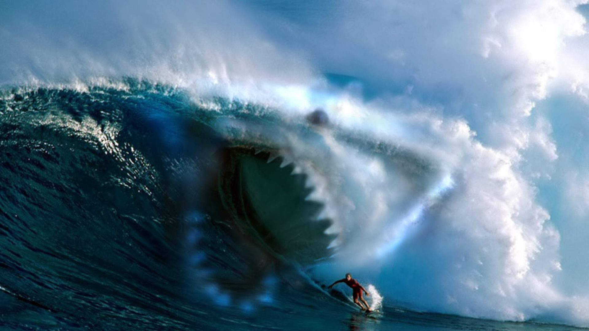 Tiburón En Una Ola - Blue Sharks Life Cycle - HD Wallpaper 