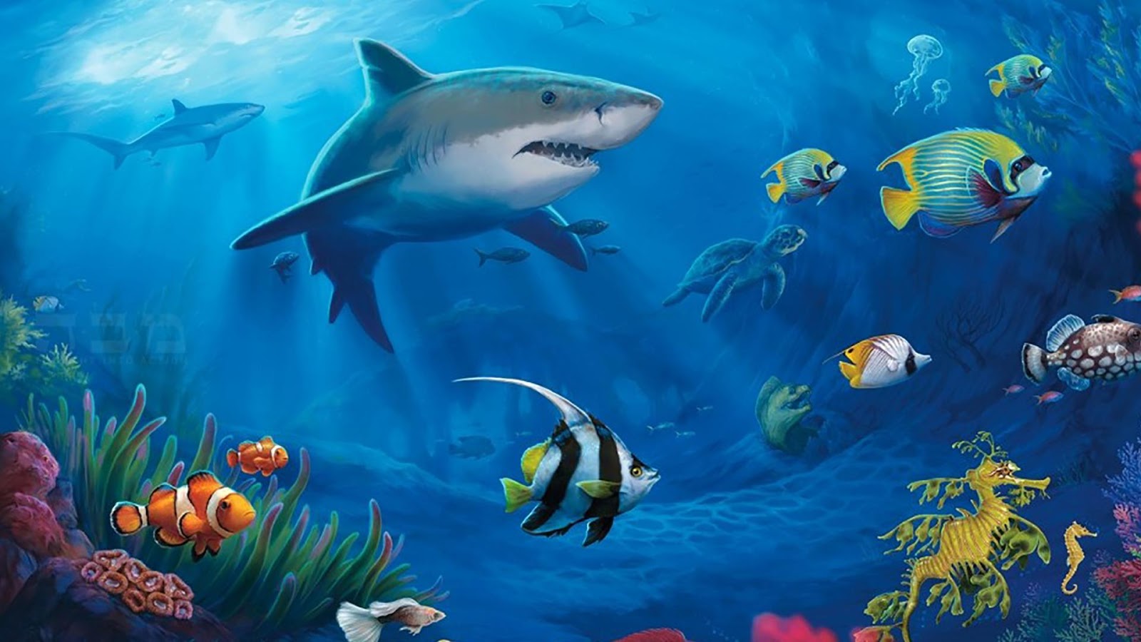 Ocean Live - HD Wallpaper 