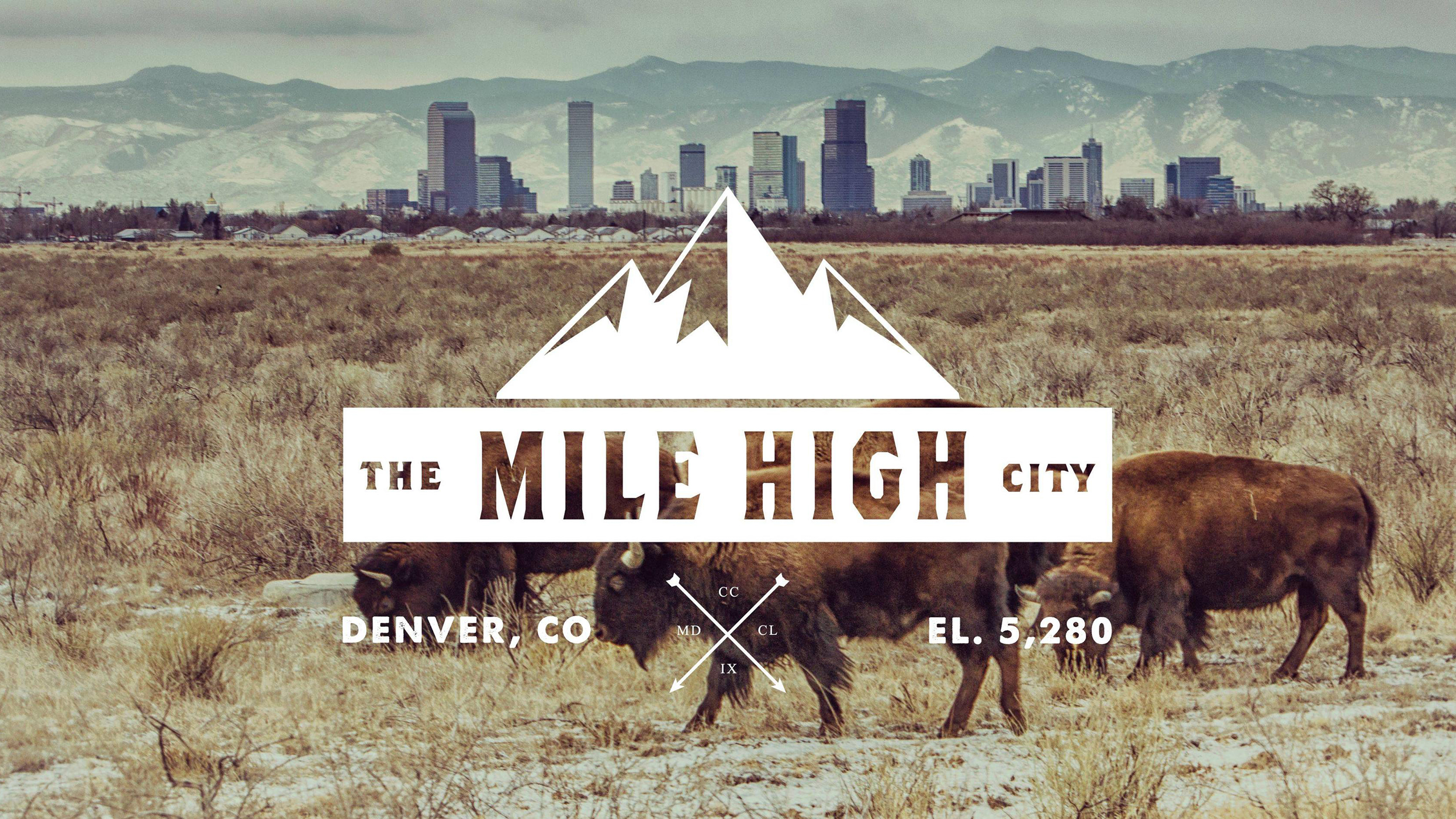 Rocky Mountain Arsenal Bison - HD Wallpaper 