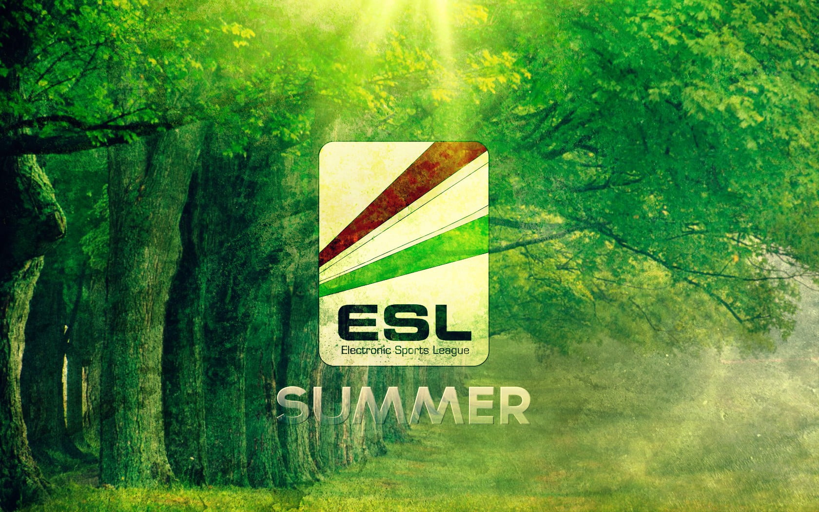 Summer - HD Wallpaper 