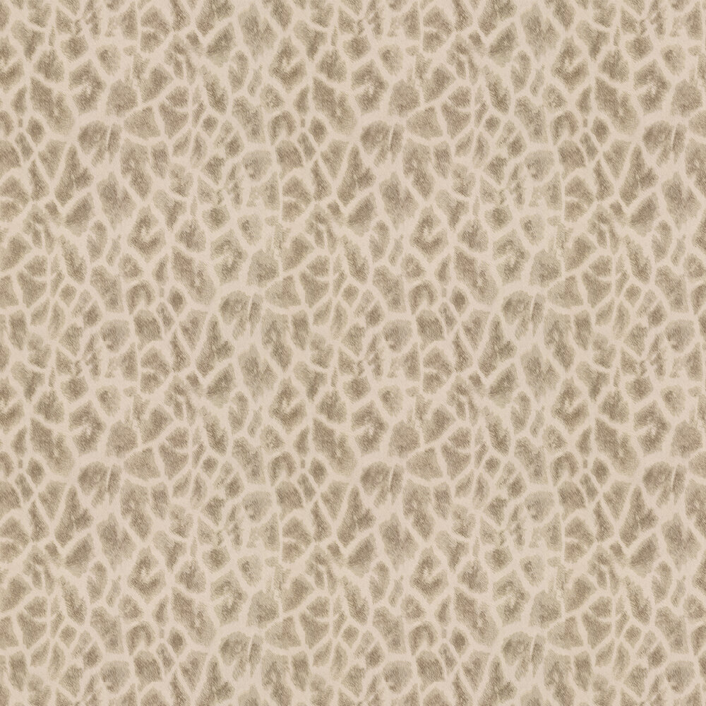 Wallpaper - HD Wallpaper 