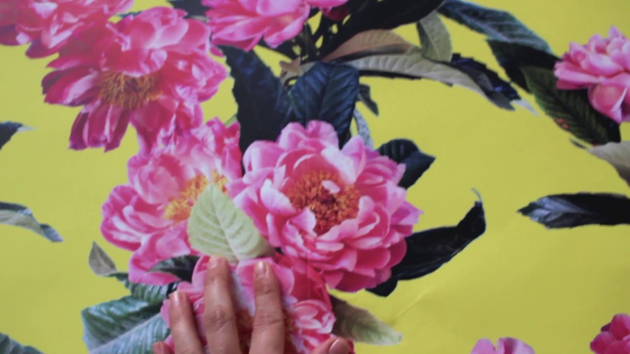 Japanese Camellia - HD Wallpaper 