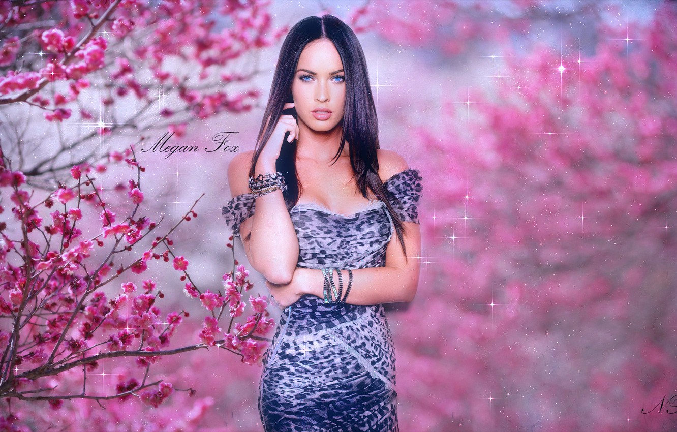 Photo Wallpaper Girl, Megan Fox, Megan Fox - Cherry Blossom Wallpaper Drawing - HD Wallpaper 