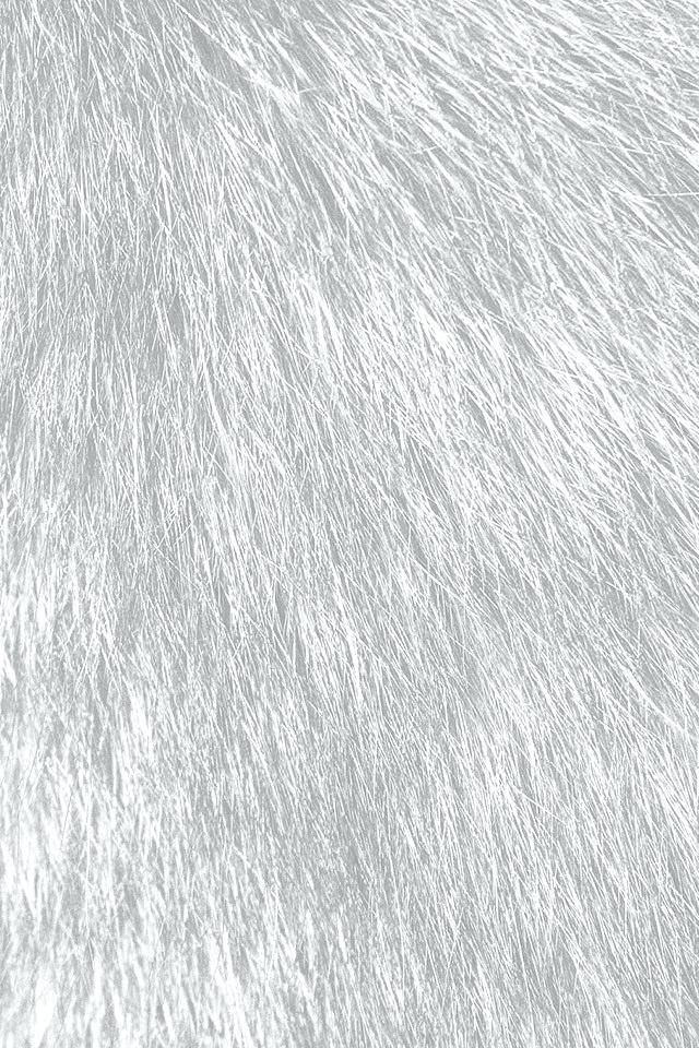 Fur Wall Paper Tabby Cat White Parallax Wallpaper Pink - Grey Fur Wallpaper Iphone - HD Wallpaper 