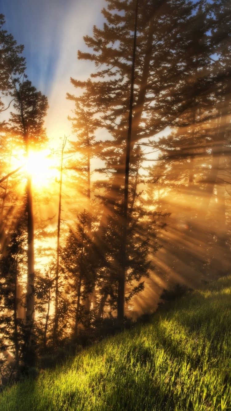 Brilliant Quality High Resolution Wallpaper Hd Wallpapers - High Resolution Phone Wallpaper Nature - 750x1334 Wallpaper Brilliant Quality High Resolution Wallpaper Hd Wallpapers - High Resolution Phone Wallpaper Nature - 750x1334 Wallpaper