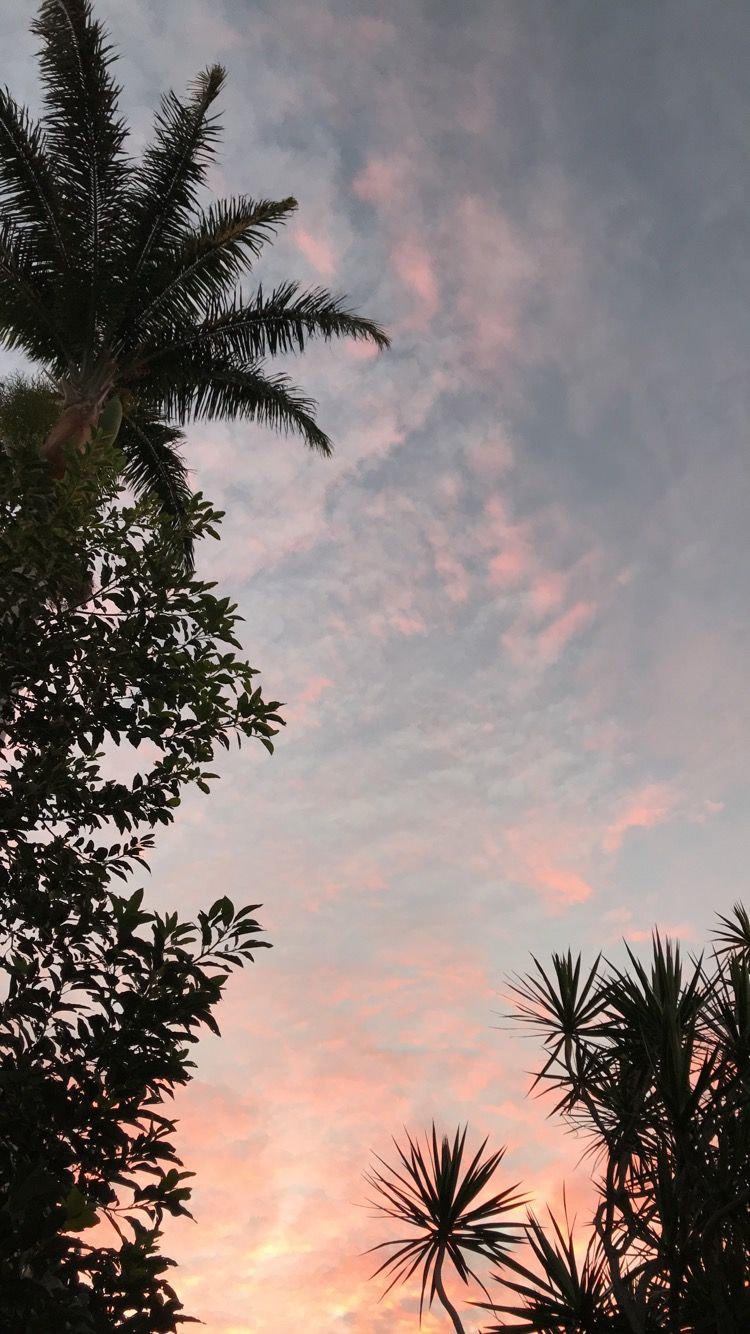 Sky Aesthetic - HD Wallpaper 