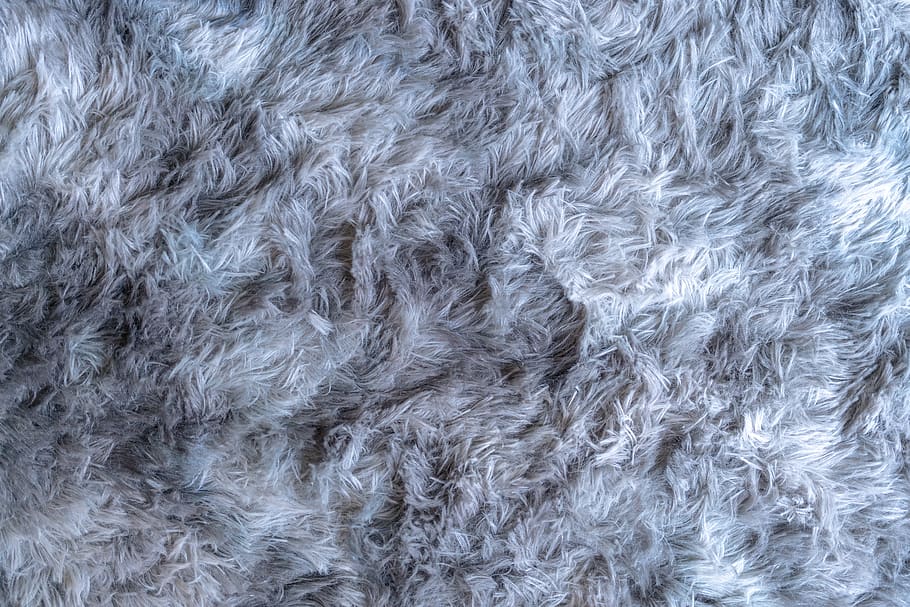 Floor Texture Background Carpet  Feather Animal 