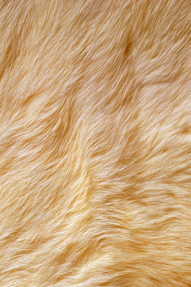 Fur Iphone Background - HD Wallpaper 
