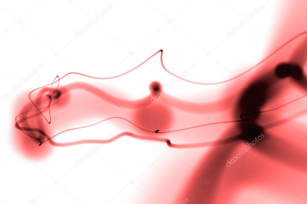 Macro Photography - HD Wallpaper 