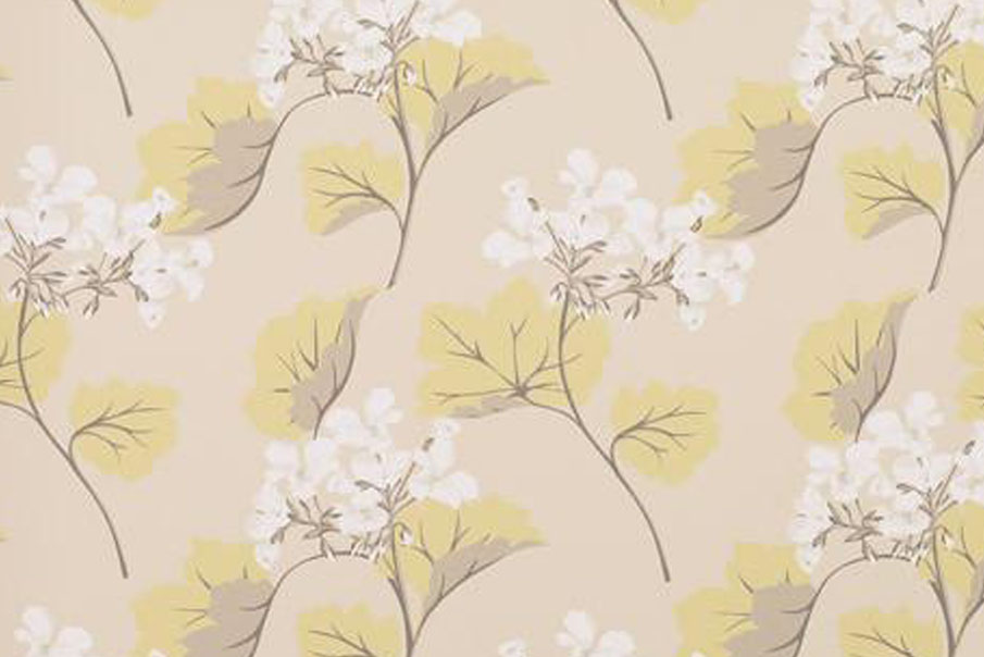 Wallpaper - HD Wallpaper 