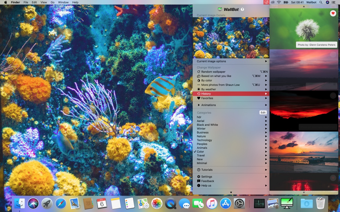 Wallpaper Assistant - Wallbot - Coral Reef Color - HD Wallpaper 