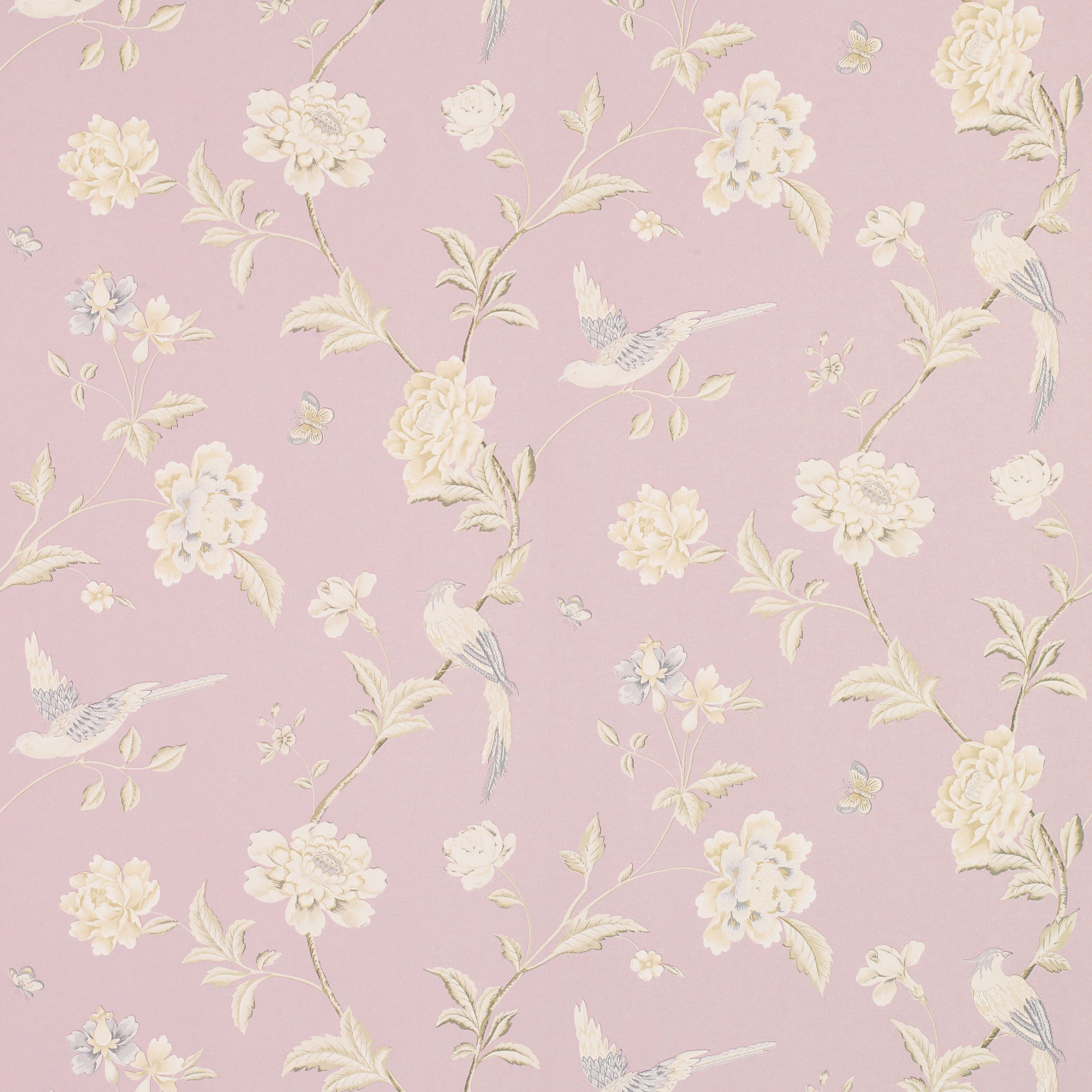 Wallpaper - HD Wallpaper 