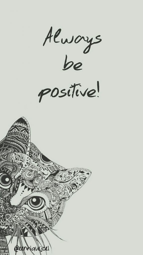 Positive Cat-themed Phone Wallpaper - Mandala Cat - HD Wallpaper 