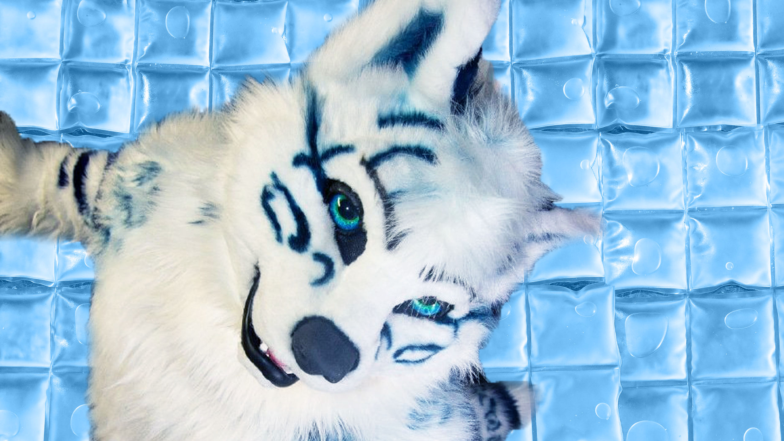 Cooling Vest Invented By A Furry - HD Wallpaper 