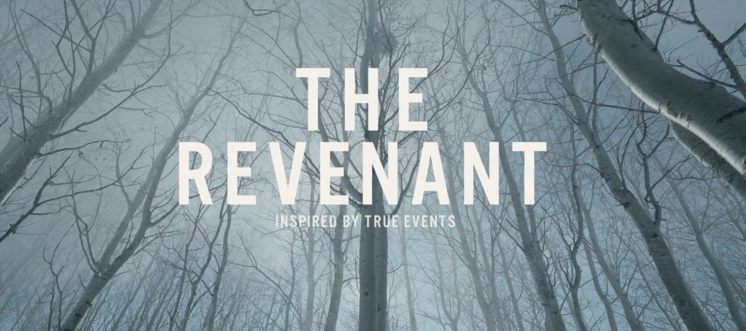 The Revenant Wallpaper S - Revenant Wallpaper Hd - HD Wallpaper 