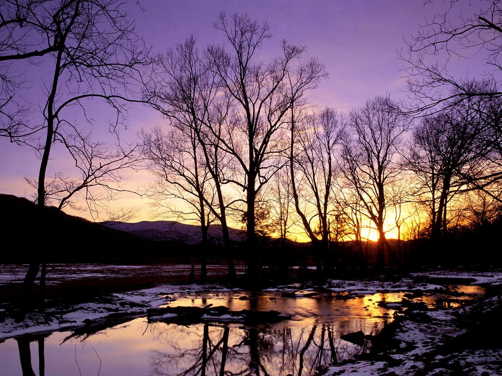 Tree, Nature, And Winter Image - Sunset Great Smoky Mountains National Park - HD Wallpaper 