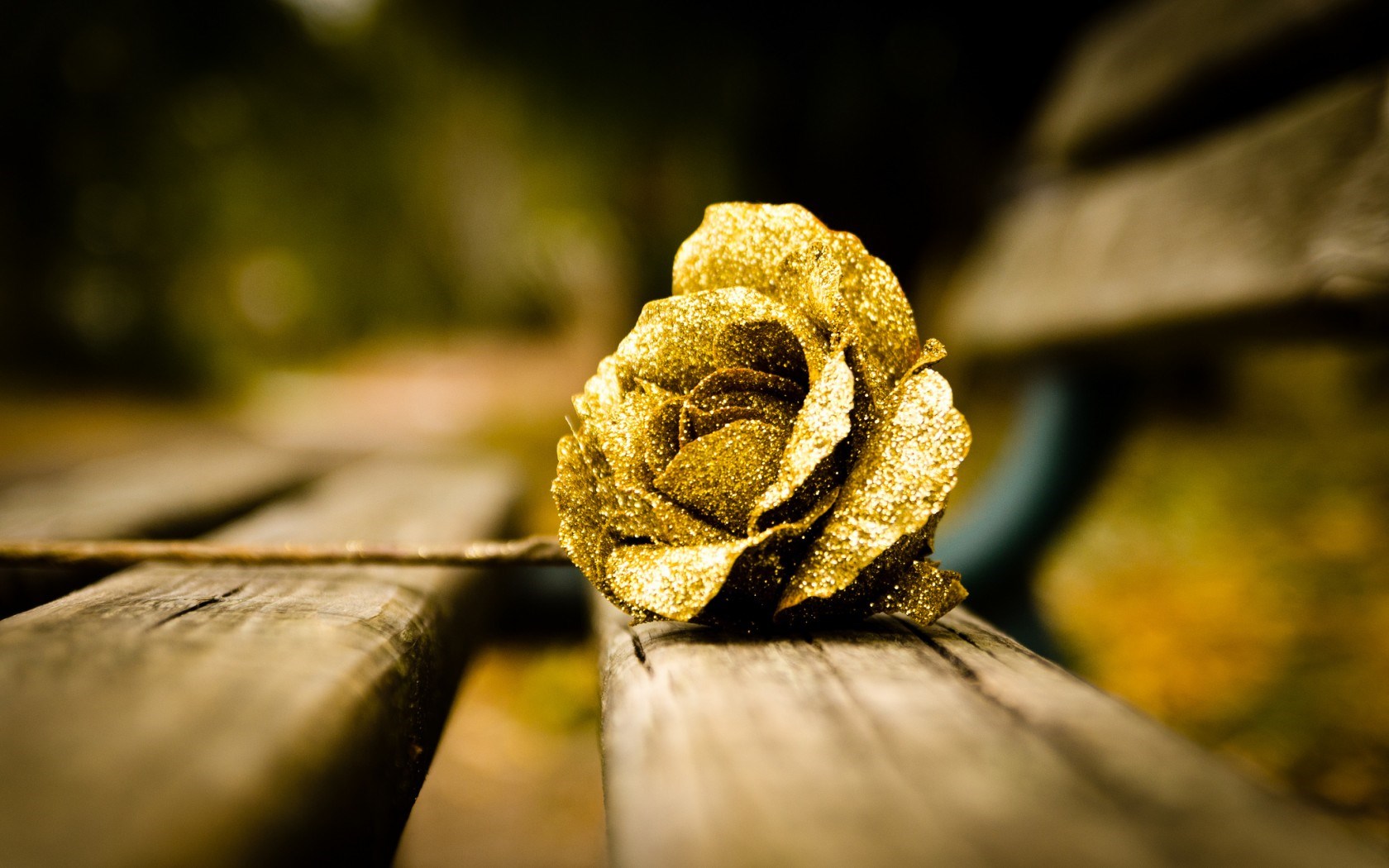 Gold Rose Wallpaper Hd - HD Wallpaper 