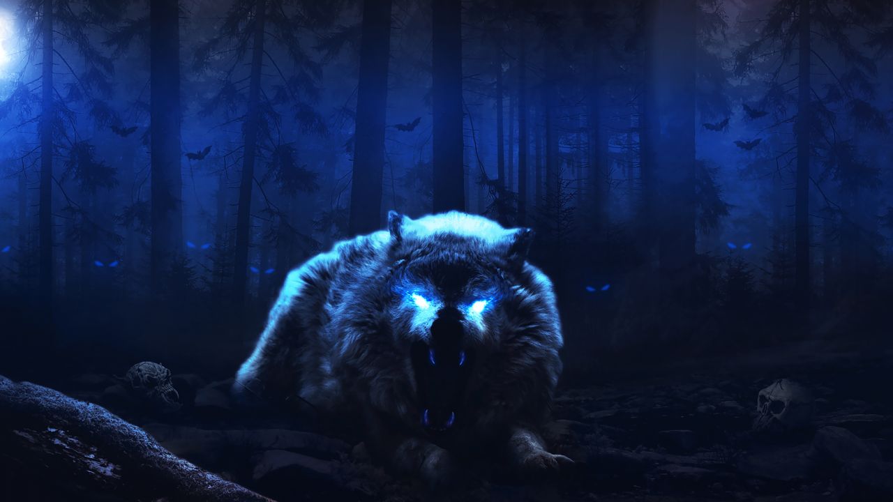 Forest At Night Wolf - HD Wallpaper 