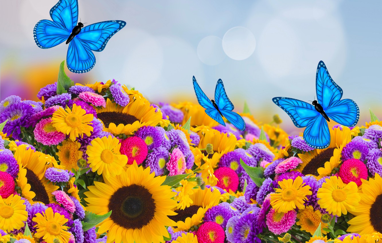 Photo Wallpaper Butterfly, Sunflowers, Spring, Colorful, - Sunflower And Butterfly Backdrop - HD Wallpaper 