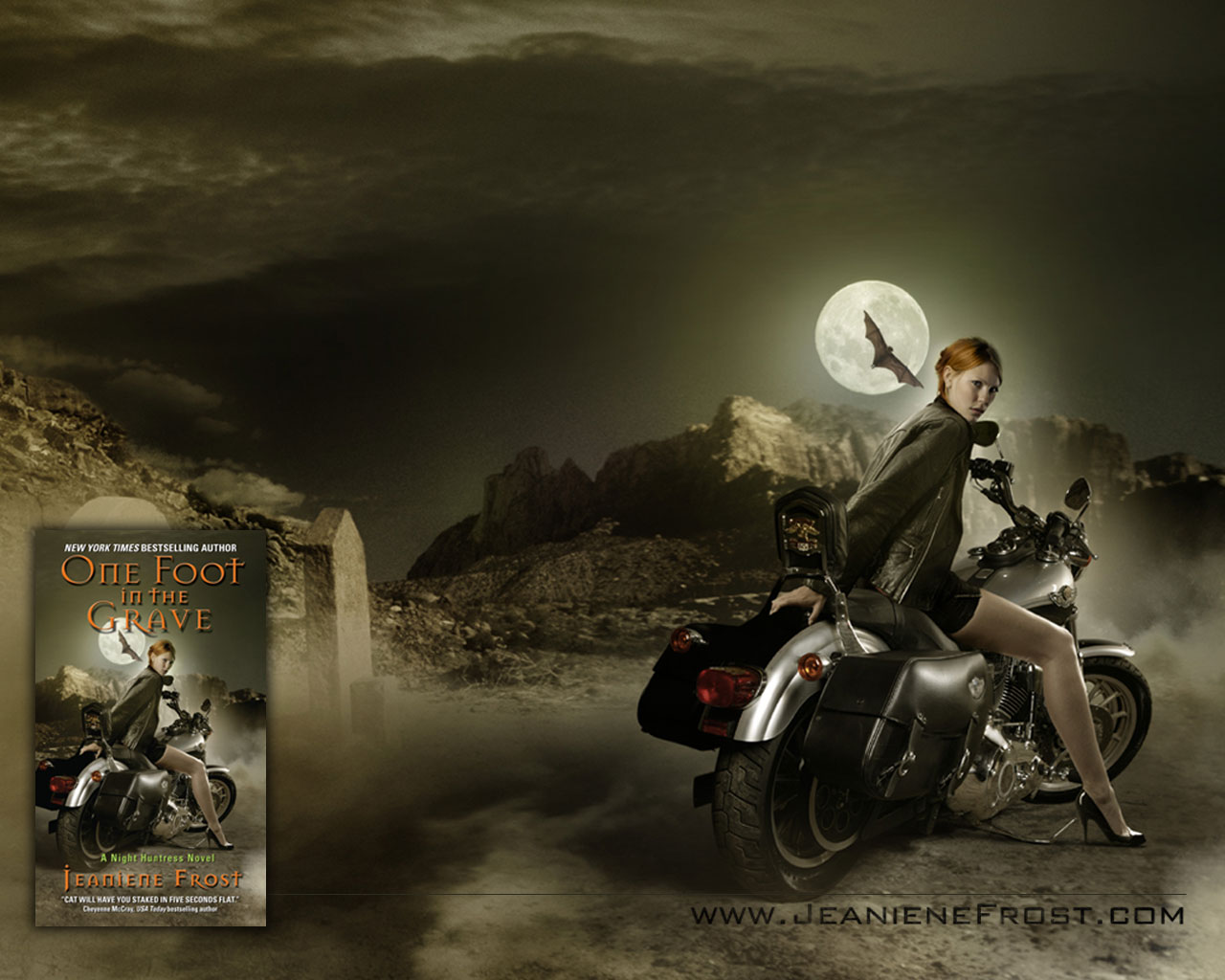 800x 500 - HD Wallpaper 