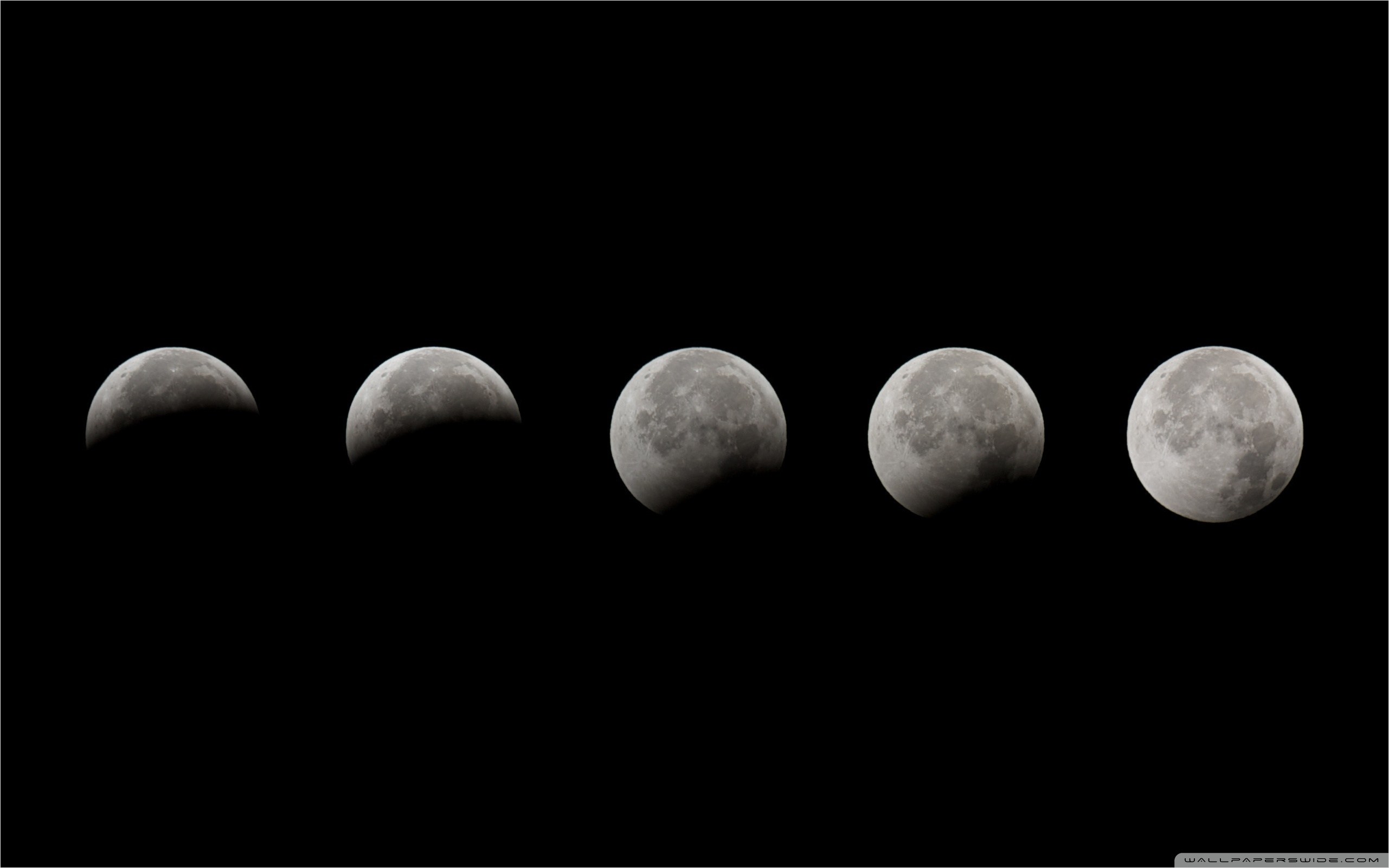 Moon Phases Black And White - 2562x1602 Wallpaper - teahub.io