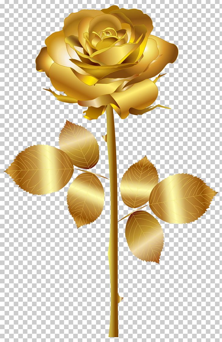 Rose Gold Flower Png, Clipart, Blue Rose, Clip Art, - Gold Rose Flower Png - HD Wallpaper 