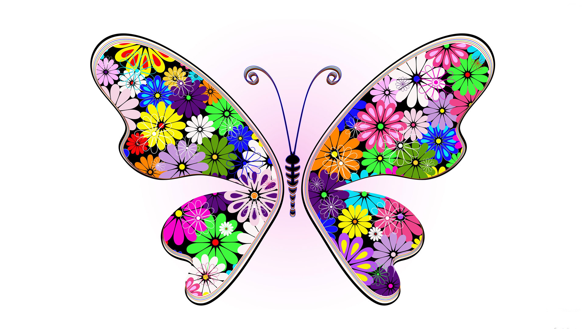 1920x1080, Abstract Colorful Butterfly Hd Images Only - Wallpaper - HD Wallpaper 