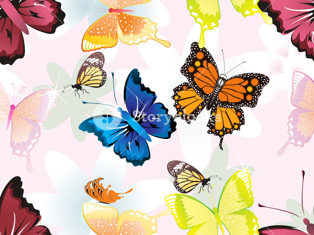 Wallpaper - HD Wallpaper 