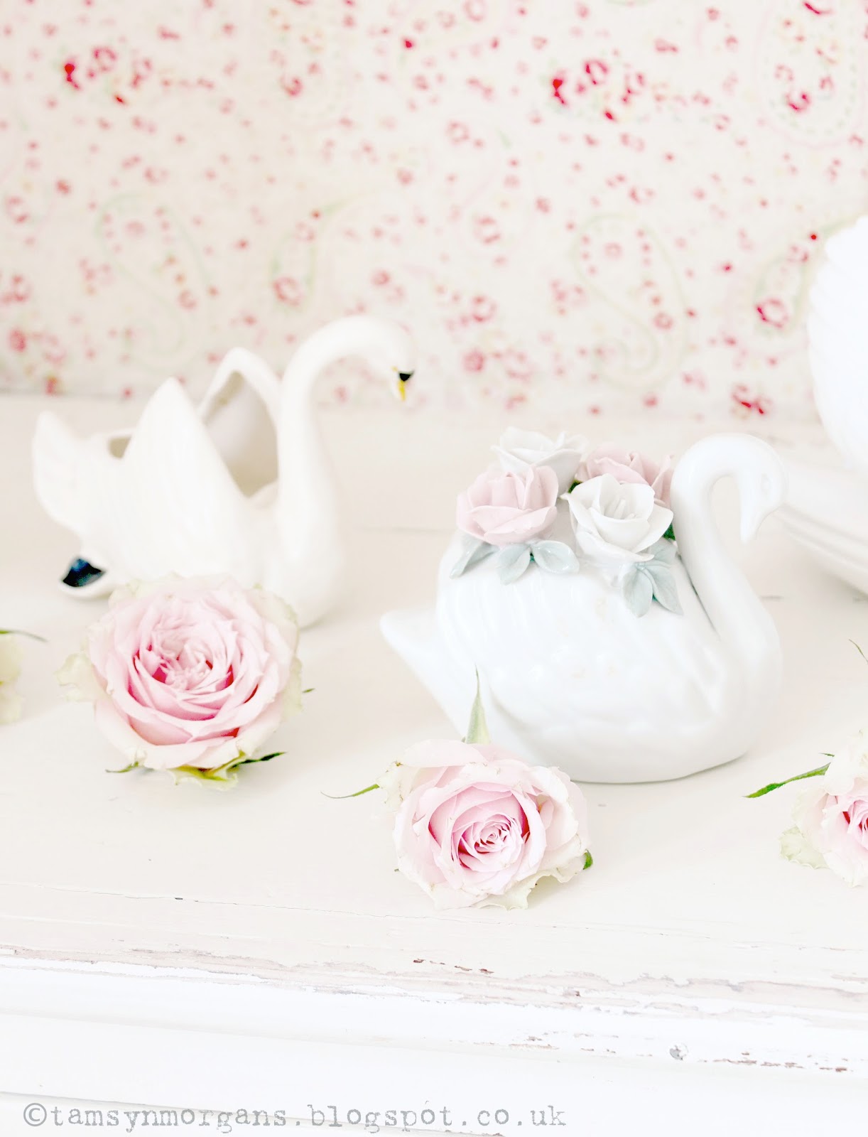 Garden Roses - HD Wallpaper 