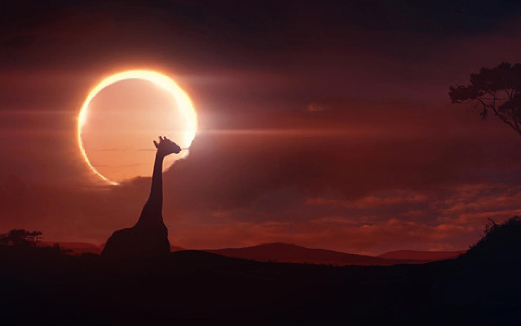 Solar Eclipse Wallpapers - HD Wallpaper 