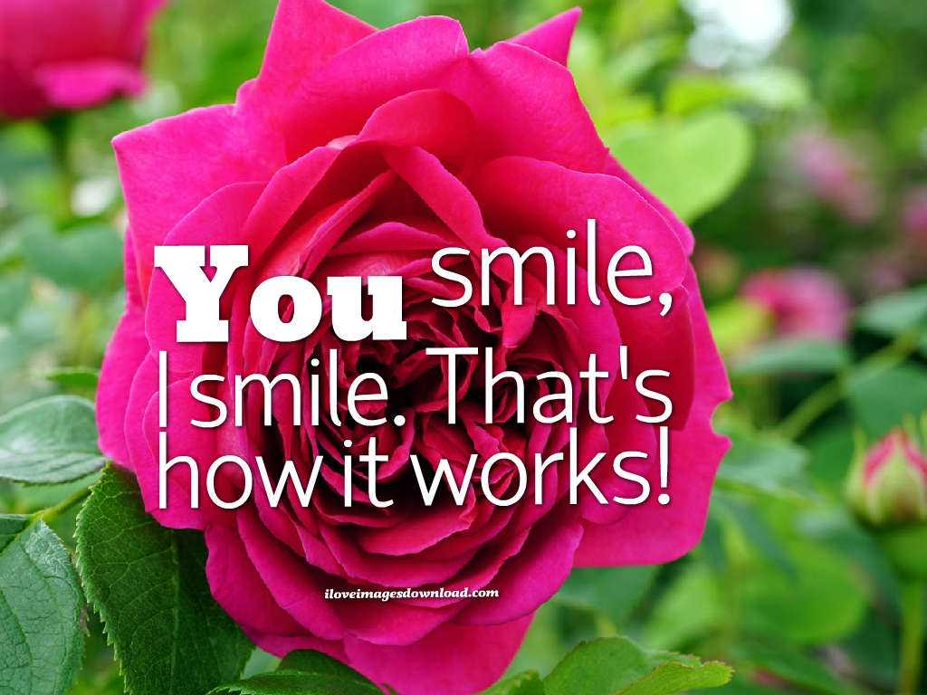 Download Love Proverbs Wallpaper Background Download - Lovable Images Download - HD Wallpaper 